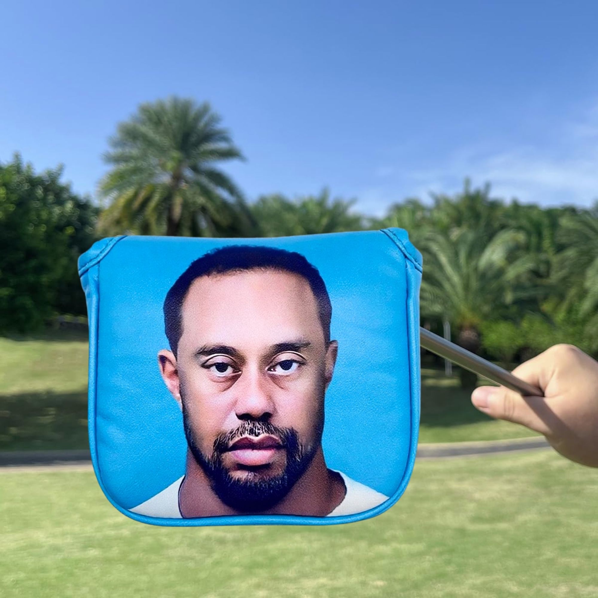 Funny Golf Mallet Putter Head  - Golf Equipment And Accessories 评论和价格